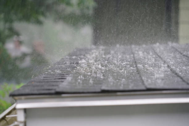 Best Flat Roofing  in Hoisington, KS